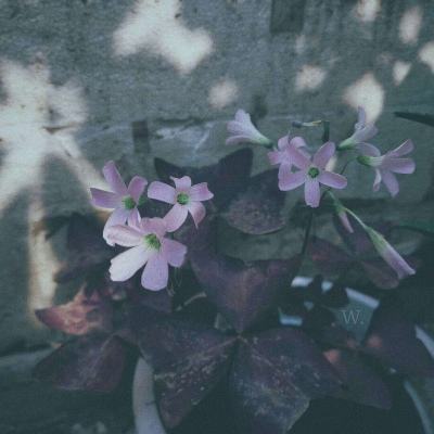 天博体育官方平台入口